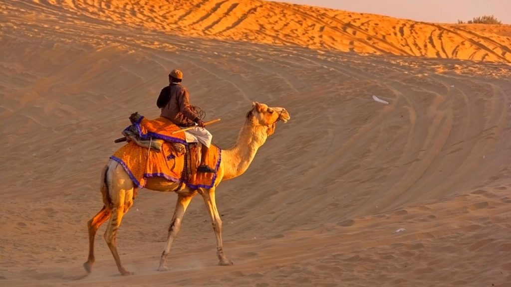 Camel Ride at Sand Dunes