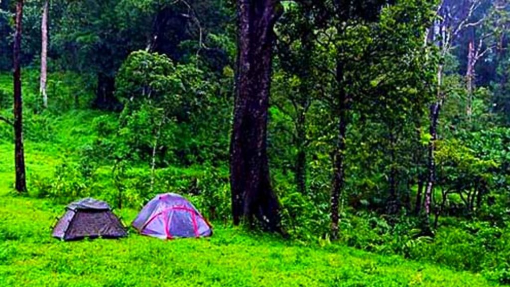 Camping in Thekkady