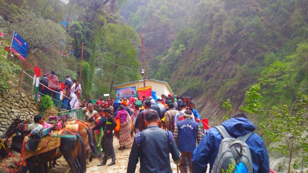 Kedarnath Trek