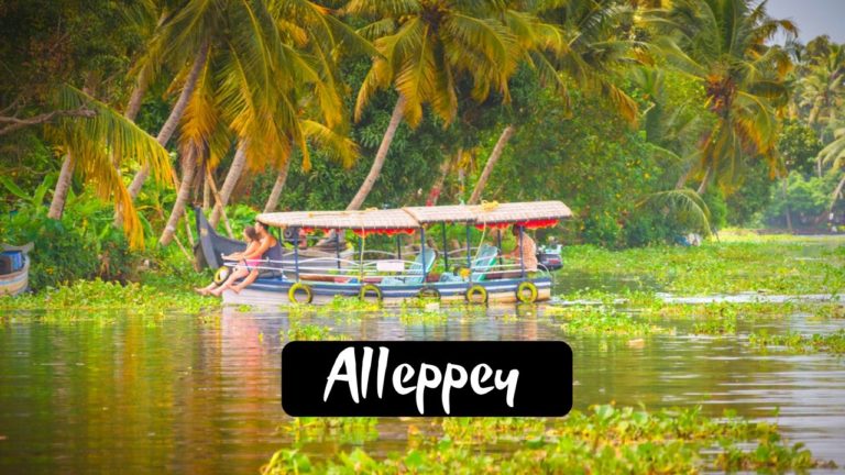 Read more about the article 11 Best Captivating Tourist Places To Visit in Alleppey