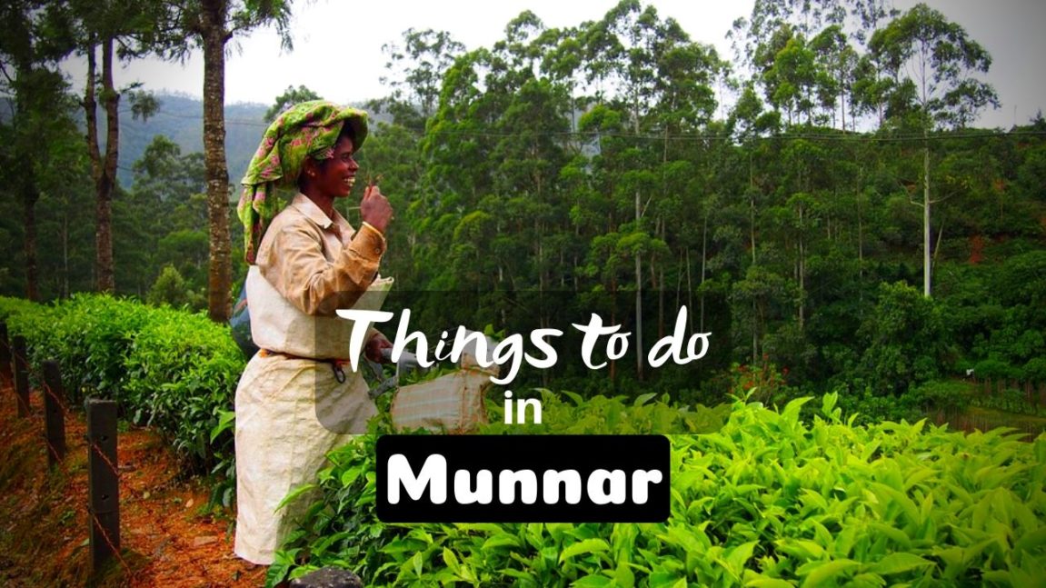 Things to do in Munnar