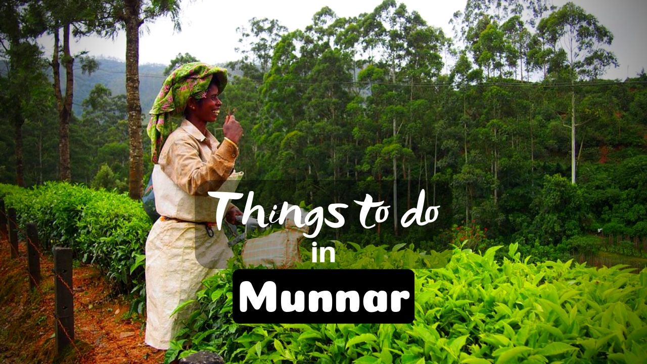 You are currently viewing 11 Mesmerizing Things to do in Munnar for Memorable Vacation