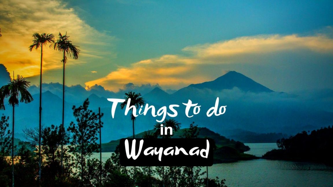 Things to do in Wayanad