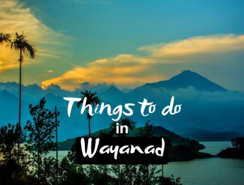 Things to do in Wayanad