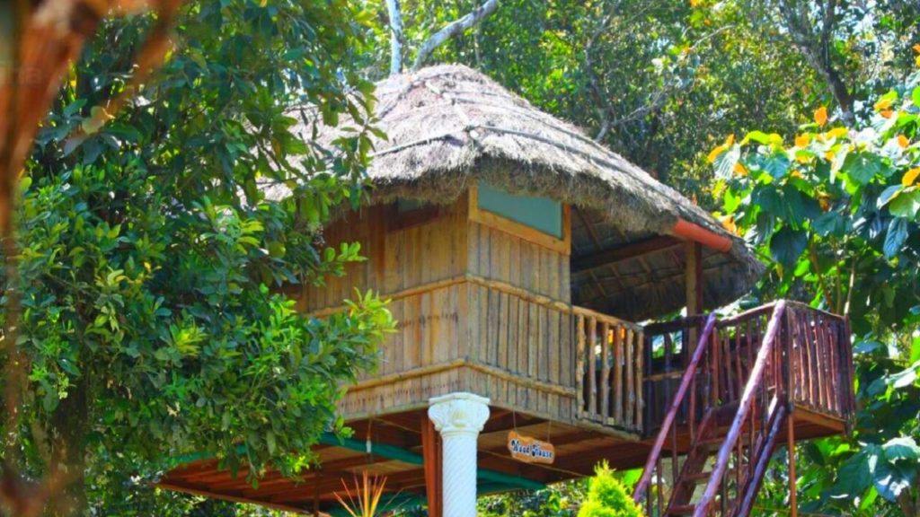 Tree Houses in Munnar