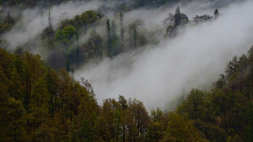 Kedarnath Wildlife Sanctuary