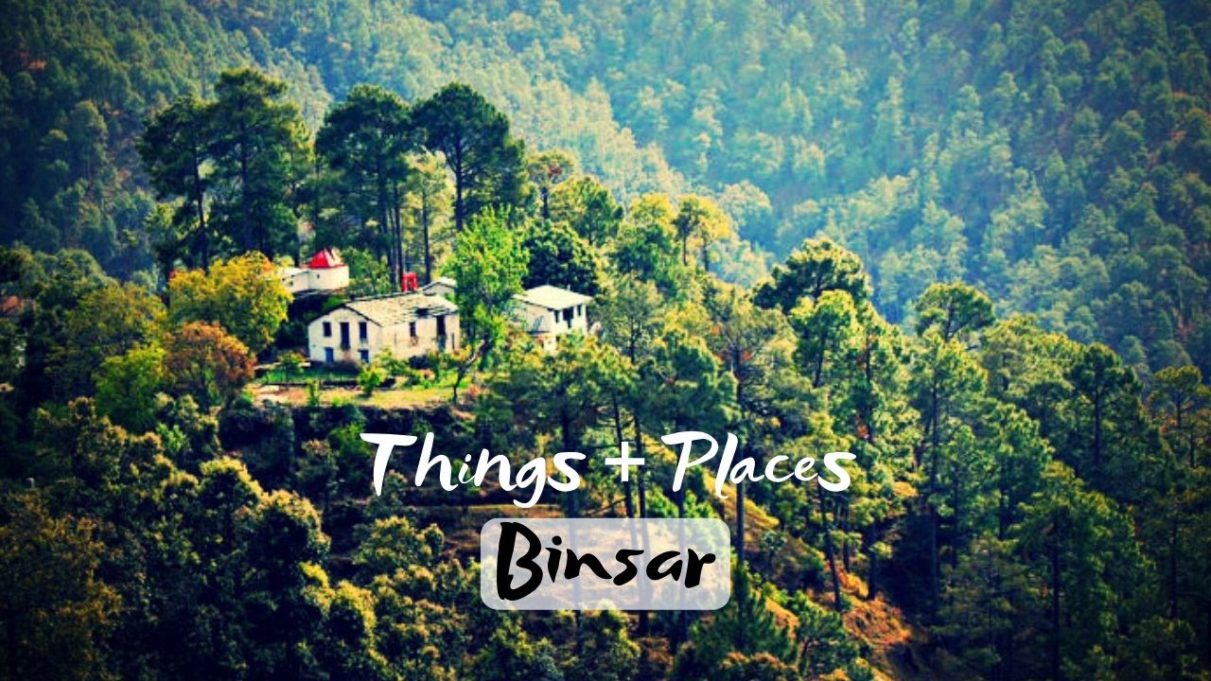 Things To Do & Places To Visit in Binsar