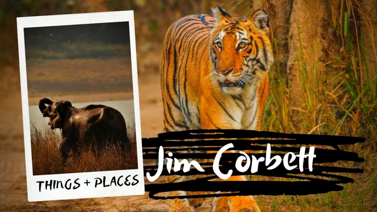 Things To Do & Places to Visit in Jim Corbett